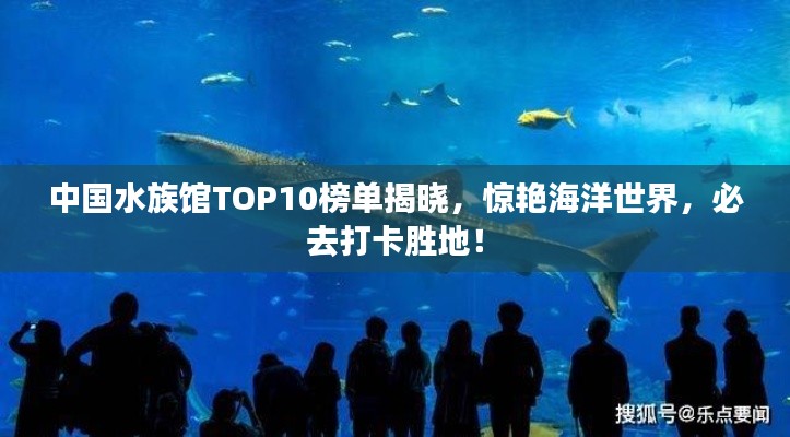 中国水族馆TOP10榜单揭晓，惊艳海洋世界，必去打卡胜地！
