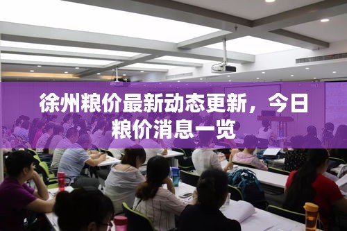 徐州粮价最新动态更新，今日粮价消息一览