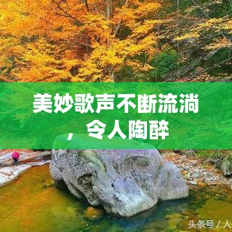 美妙歌声不断流淌，令人陶醉