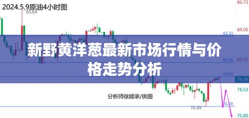 新野黄洋葱最新市场行情与价格走势分析