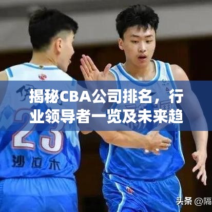 揭秘CBA公司排名，行业领导者一览及未来趋势展望