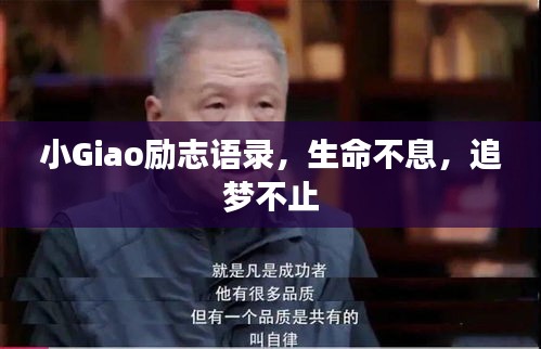 狗尾续貂
