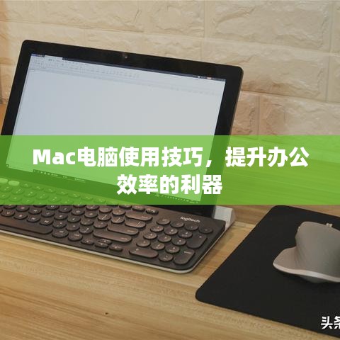Mac电脑使用技巧，提升办公效率的利器