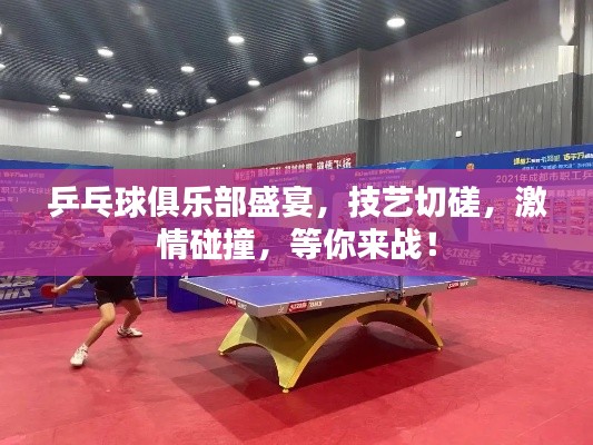 乒乓球俱乐部盛宴，技艺切磋，激情碰撞，等你来战！