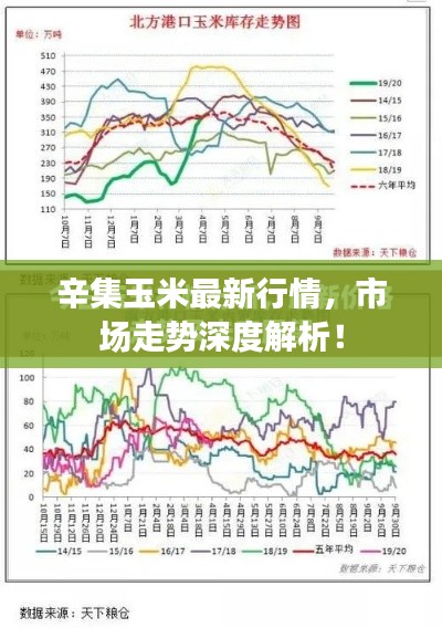 辛集玉米最新行情，市场走势深度解析！