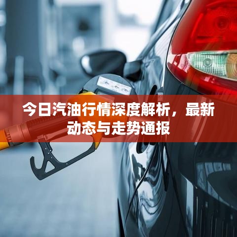 今日汽油行情深度解析，最新动态与走势通报