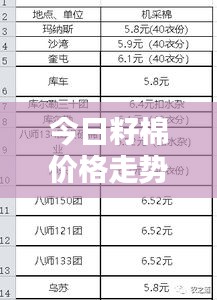 今日籽棉价格走势分析，最新行情报告