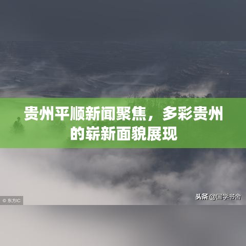 贵州平顺新闻聚焦，多彩贵州的崭新面貌展现