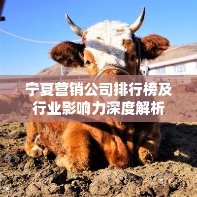 宁夏营销公司排行榜及行业影响力深度解析