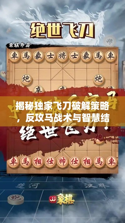 揭秘独家飞刀破解策略，反攻马战术与智慧结合制胜之道