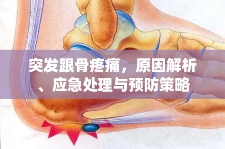 突发跟骨疼痛，原因解析、应急处理与预防策略