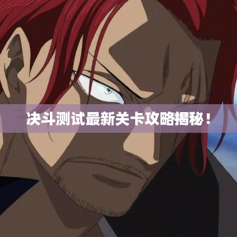 决斗测试最新关卡攻略揭秘！