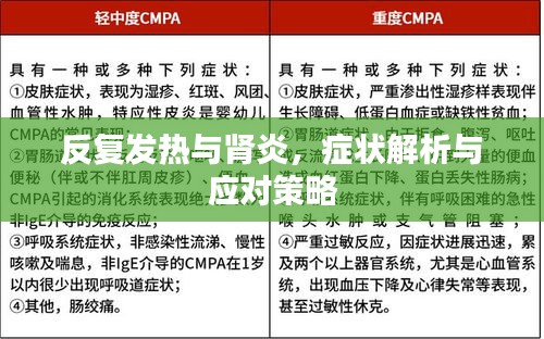 反复发热与肾炎，症状解析与应对策略