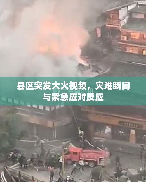 县区突发大火视频，灾难瞬间与紧急应对反应