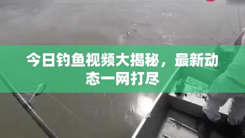 今日钓鱼视频大揭秘，最新动态一网打尽