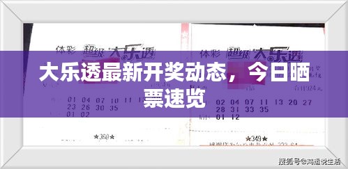 大乐透最新开奖动态，今日晒票速览