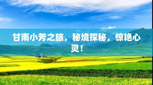 甘南小芳之旅，秘境探秘，惊艳心灵！