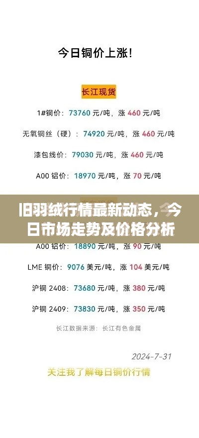 旧羽绒行情最新动态，今日市场走势及价格分析