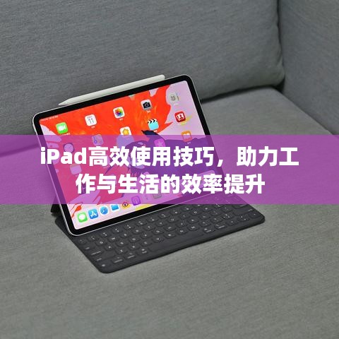 iPad高效使用技巧，助力工作与生活的效率提升