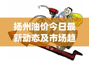 扬州油价今日最新动态及市场趋势解析