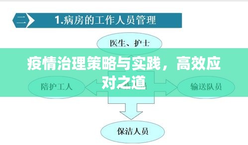 疫情治理策略与实践，高效应对之道