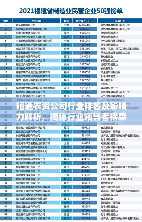 昭通农资公司行业排名及影响力解析，揭秘行业领导者榜单