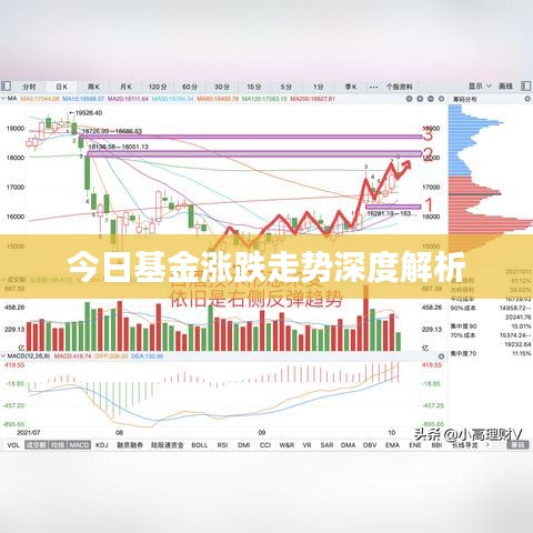 今日基金涨跌走势深度解析