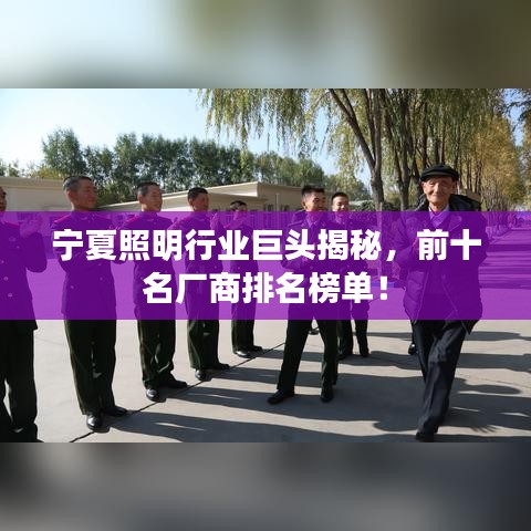 宁夏照明行业巨头揭秘，前十名厂商排名榜单！