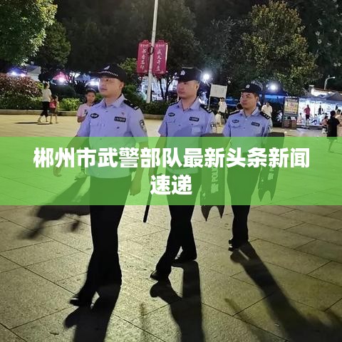 郴州市武警部队最新头条新闻速递