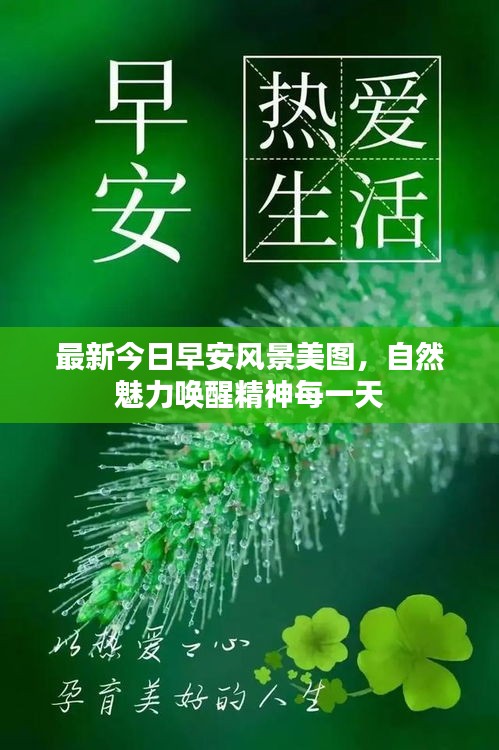 最新今日早安风景美图，自然魅力唤醒精神每一天