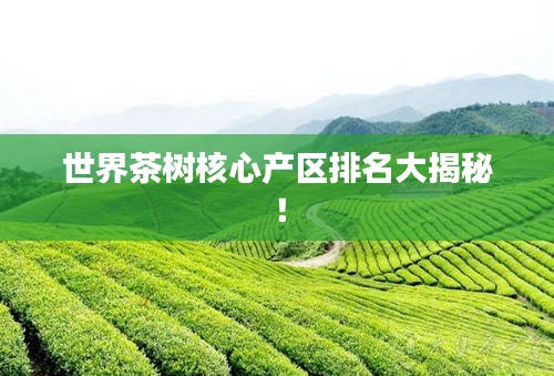 世界茶树核心产区排名大揭秘！