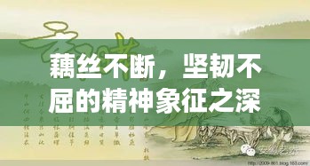 藕丝不断，坚韧不屈的精神象征之深度解读