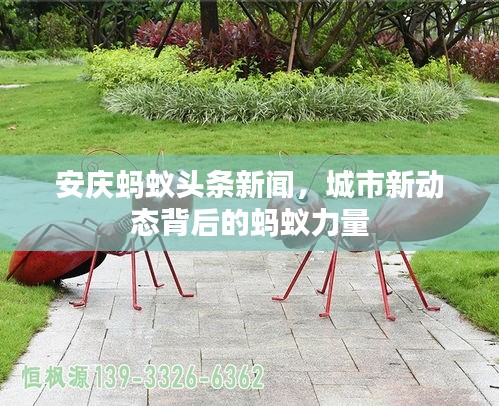 安庆蚂蚁头条新闻，城市新动态背后的蚂蚁力量