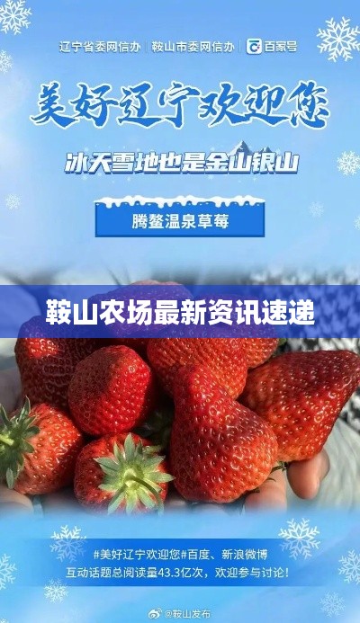 鞍山农场最新资讯速递