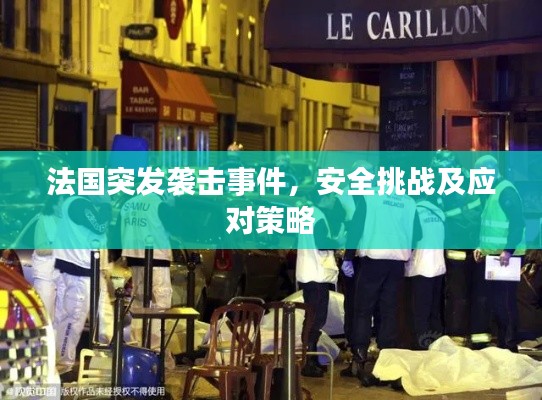 法国突发袭击事件，安全挑战及应对策略