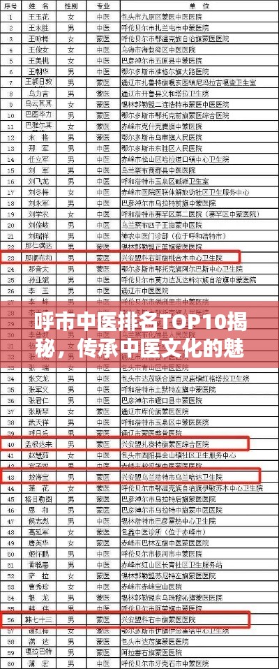 呼市中医排名TOP10揭秘，传承中医文化的魅力与精英之选