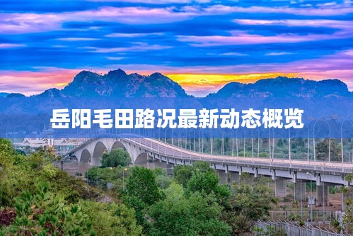 岳阳毛田路况最新动态概览