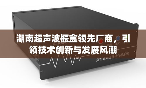 湖南超声波振盒领先厂商，引领技术创新与发展风潮
