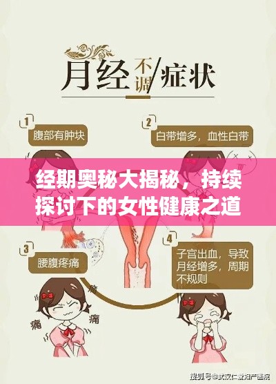 经期奥秘大揭秘，持续探讨下的女性健康之道