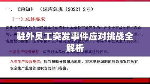驻外员工突发事件应对挑战全解析