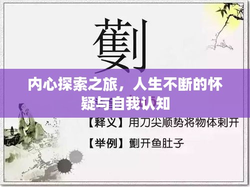 内心探索之旅，人生不断的怀疑与自我认知
