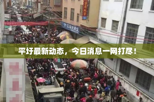 平圩最新动态，今日消息一网打尽！
