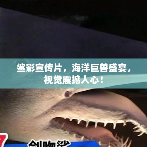 鲨影宣传片，海洋巨兽盛宴，视觉震撼人心！