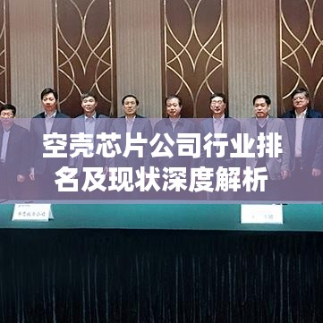 空壳芯片公司行业排名及现状深度解析