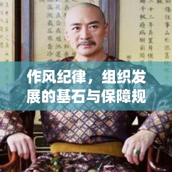 作风纪律，组织发展的基石与保障规范