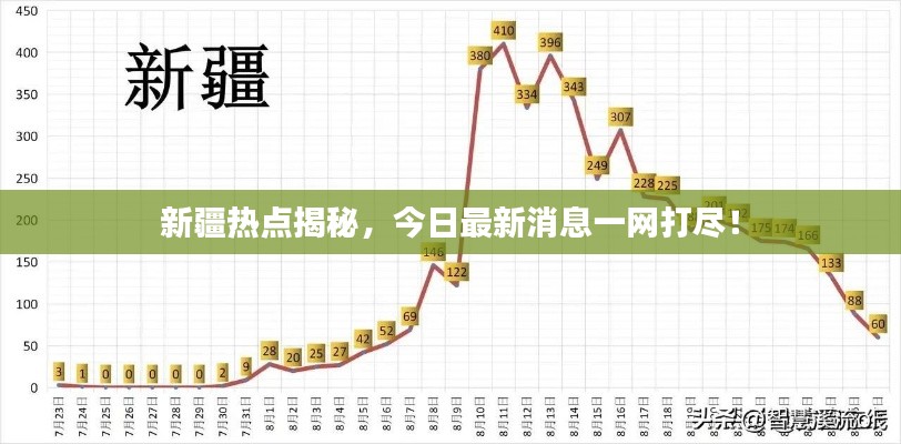 新疆热点揭秘，今日最新消息一网打尽！