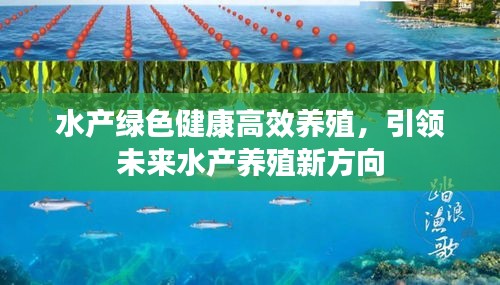 水产绿色健康高效养殖，引领未来水产养殖新方向