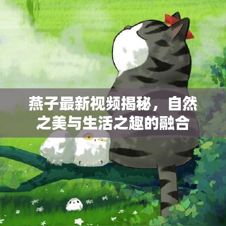 燕子最新视频揭秘，自然之美与生活之趣的融合
