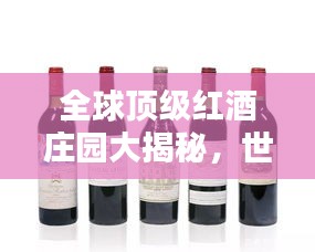 全球顶级红酒庄园大揭秘，世界名庄红酒排名榜单
