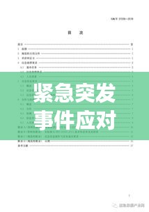 紧急突发事件应对流程详解，保障安全，快速响应处理！